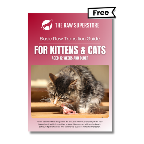 the-raw-superstore-raw-transition-diet-guide-for-kittens-cats