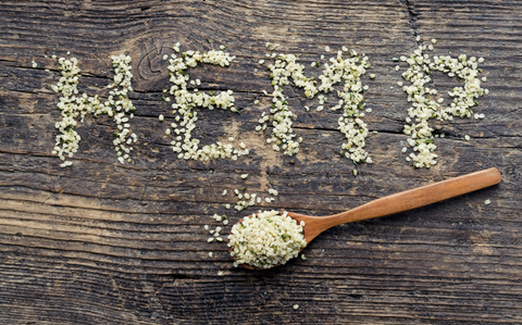 Could Hemp Oil (with CBD) benefit your pets life?
