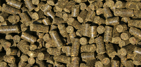 the-raw-superstore-darf-cold-pressed-dog-food