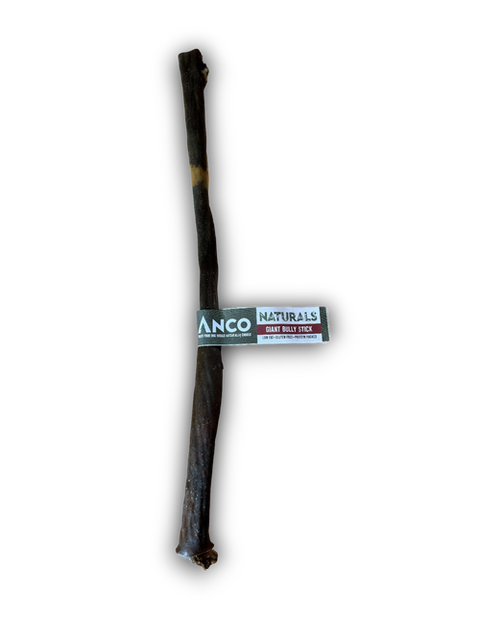 the-raw-superstore-anco-giant-bully-stick