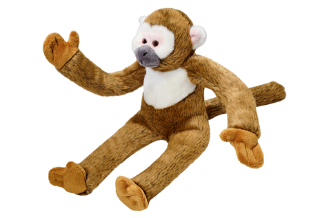 the-raw-superstore-fluff-tuff-albert-squirrel-monkey