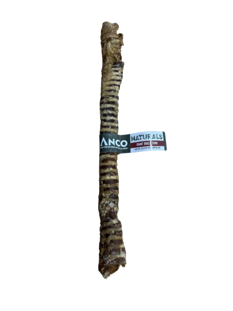 Anco Giant Bully Trachea