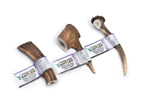 the-raw-superstore-nova-antler-chew