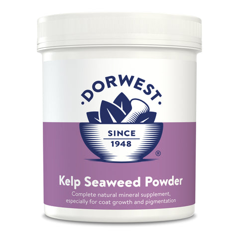 the-raw-superstore-dorwest-kelp-seaweed-powder