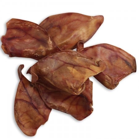 Paddock Farm Giant Pigs Ear
