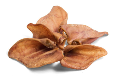 the-raw-superstore-paddock-farm-pigs-ear