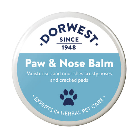 the-raw-superstore-dorwest-paw-nose-balm