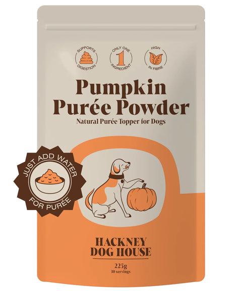 the-raw-superstore-hackney-dog-house-pumpkin-powder