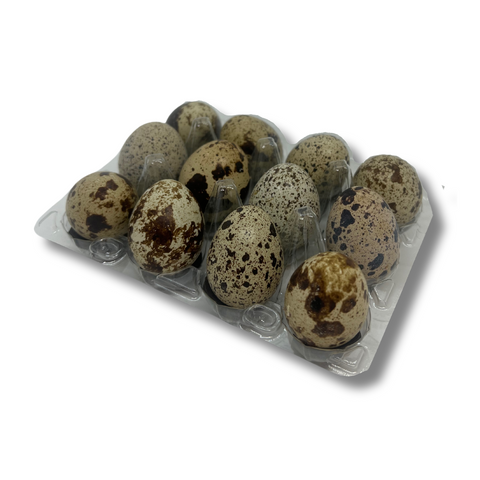 the-raw-superstore-everlong-farm-quail-eggs-for-dogs