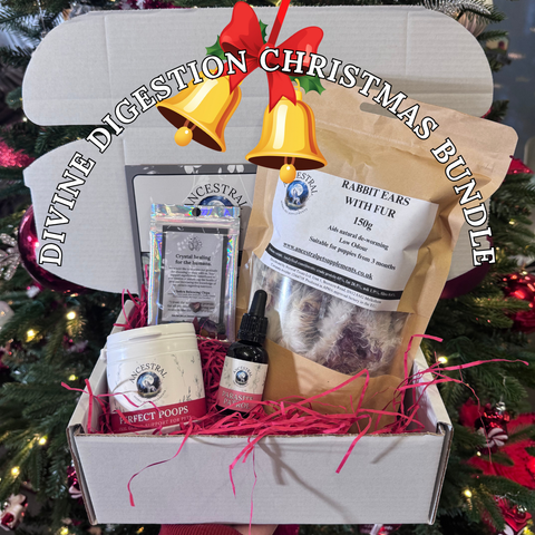 Ancestral Divine Digestion Christmas Box