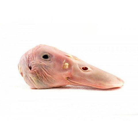 PRT Duck Heads