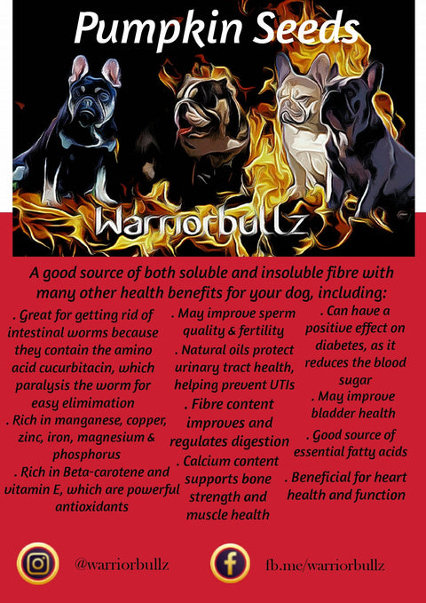 Warriorbullz Pumpkin Seed Powder