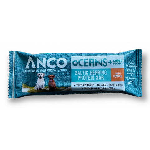 Anco Oceans Protein Bar with Pumpkin