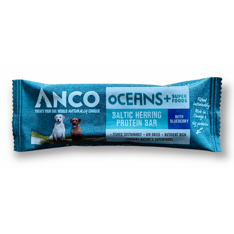 Anco Oceans Protein Bar with Blueberry