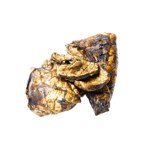 the-raw-superstore-pet-treats-wholesale-puffed-beef-lung-jerky-500g