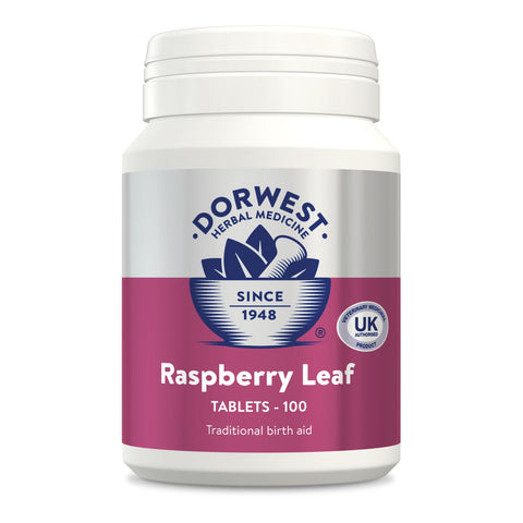Dorwest Raspberry Leaf
