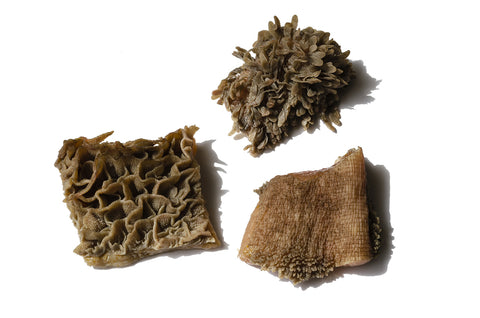 the-raw-superstore-premium-raw-treat-beef-tripe-chunks