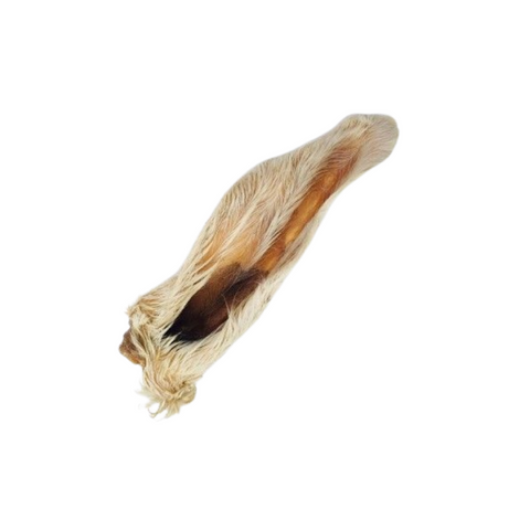 Anco Hairy Goat Ear