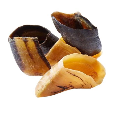 the-raw-superstore-pet-treats-wholesale-hollow-hoof