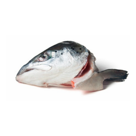 the-raw-superstore-dougies-salmon-heads